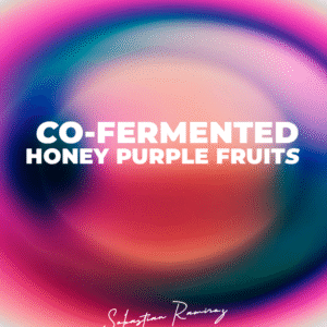 CO-FERMENTED HONEY PURPLE FRUITS