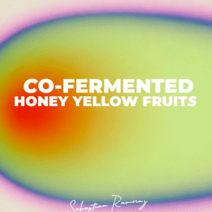 CO-FERMENTED HONEY YELLOW FRUITS