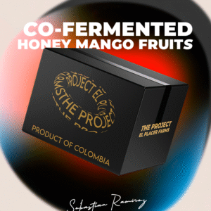 CO-FERMENTED HONEY MANGO FRUIT