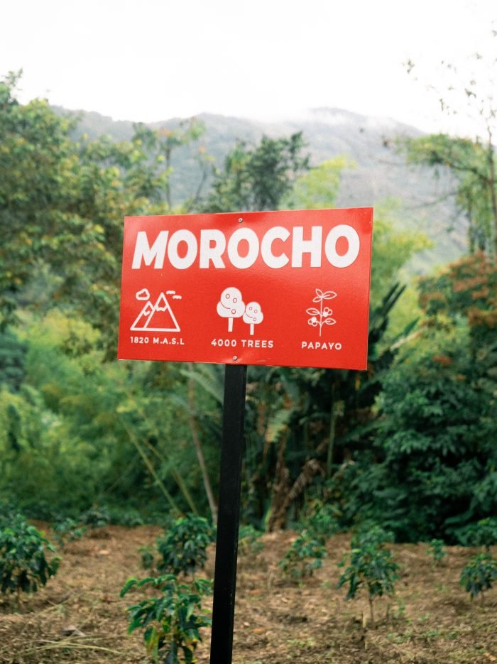 FINCA GENOVA 2-33 FINCA GENOVA 2-33